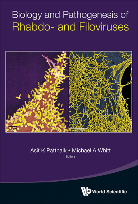 Cover image for book Biology and Pathogenesis of Rhabdo- and Filoviruses