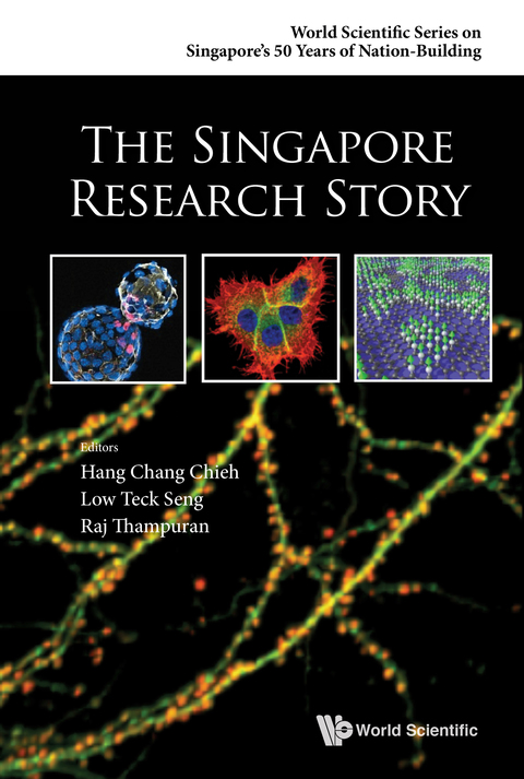 Cover image for book The Singapore Research Story