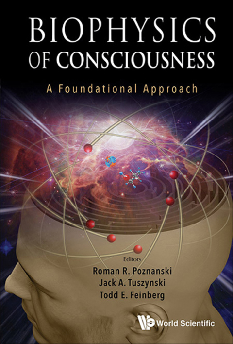 Cover image for book Biophysics of Consciousness: A Foundational Approach