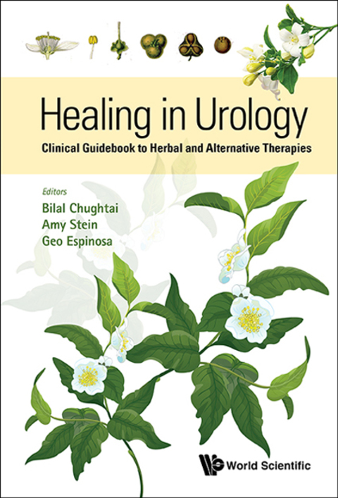 Cover image for book Healing in Urology: Clinical Guidebook to Herbal and Alternative Therapies