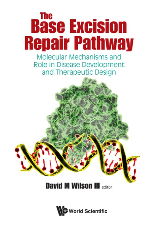 Cover image for book BASE EXCISION REPAIR PATHWAY, THE