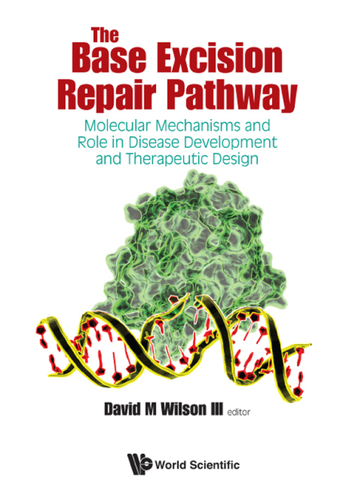 Cover image for book The Base Excision Repair Pathway: Molecular Mechanisms and Role in Disease Development and Therapeutic Design