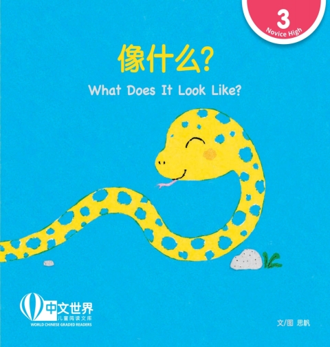 Cover image for book 像什么？What Does It Look Like? (Level 3)