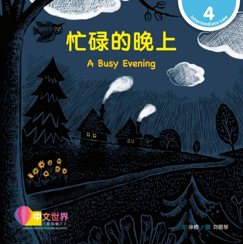 Cover image for book 忙碌的晚上 A Busy Evening (Level 4)