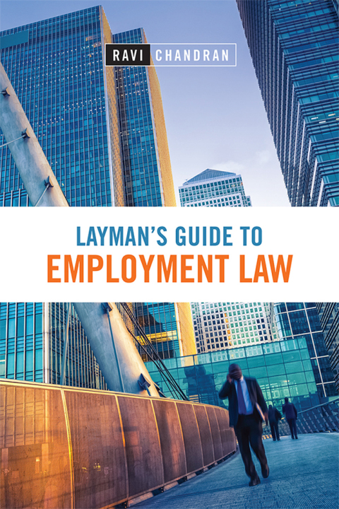 Cover image for book Layman's Guide to Employment Law