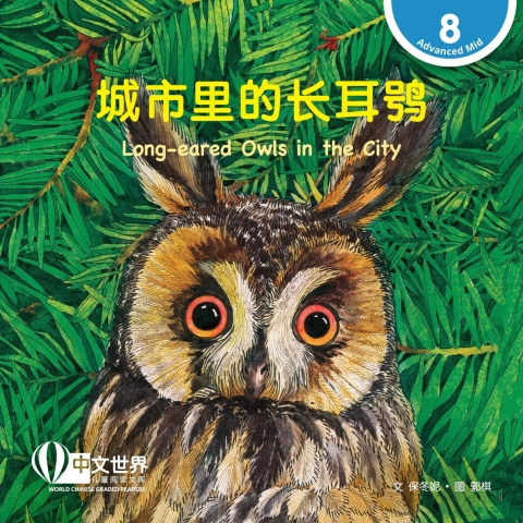 Cover image for book 城市里的长耳鸮 Long-eared Owls in the City (Level 8)
