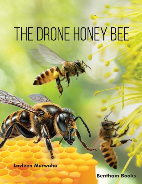 Cover image for book The Drone Honey Bee
