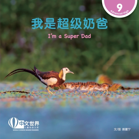 Cover image for book 我是超级奶爸 I'm a Super Dad (Level 9)
