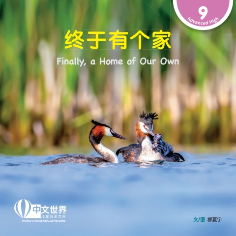 Cover image for book 终于有个家 Finally, a Home of Our Own (Level 9)