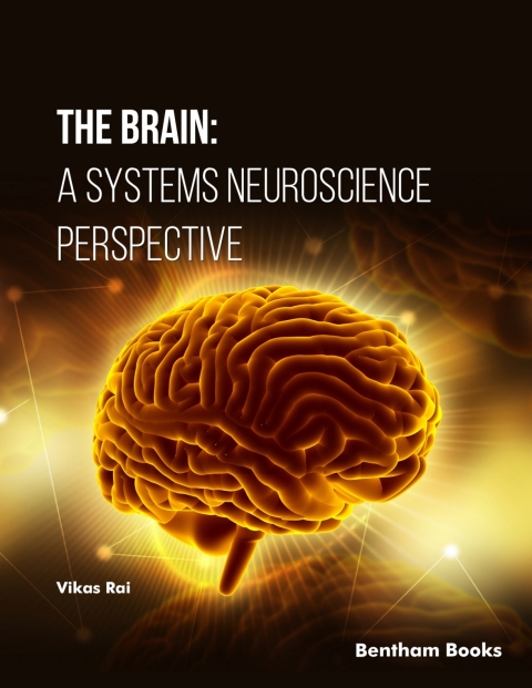 Cover image for book The Brain: A Systems Neuroscience Perspective