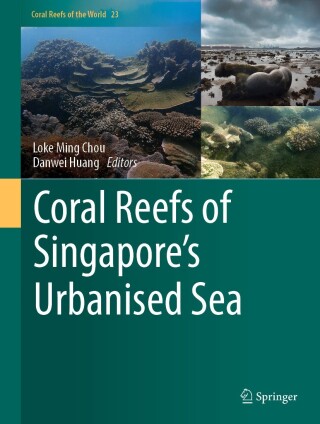 Coral Reefs of Singapore's Urbanised Sea