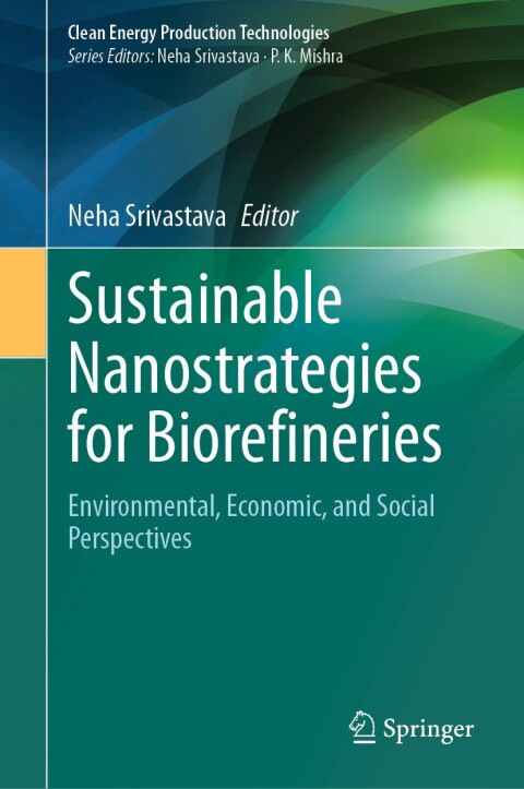 Cover image for book Sustainable Nanostrategies for Biorefineries