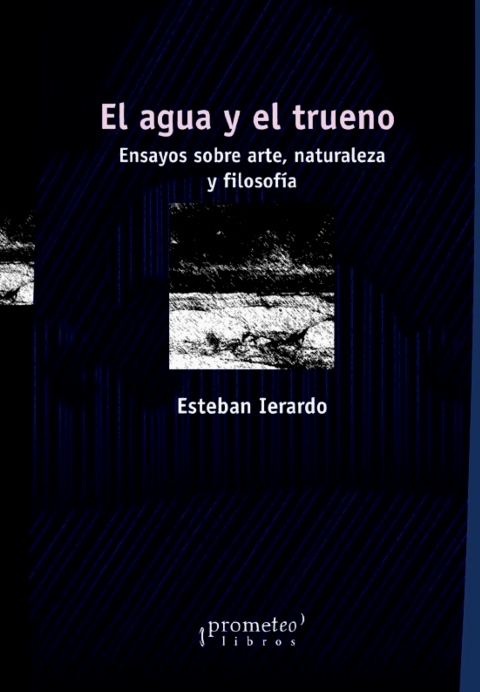 Cover image for book El agua y el trueno: Ensayos sobre arte, naturaleza y filosofía