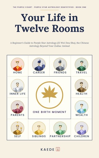 Your Life in Twelve Rooms