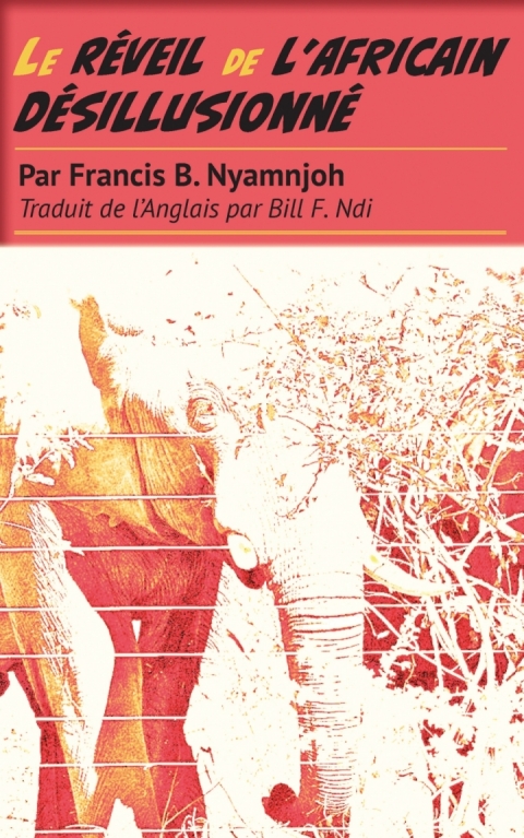 Le RÃ©veil de lâAfricain DÃ©sillusionnÃ© 