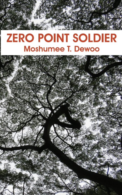Cover image for book Zero Point Soldier