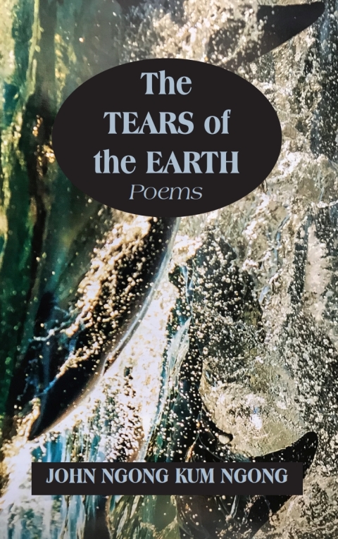 Cover image for book Tears of the Earth