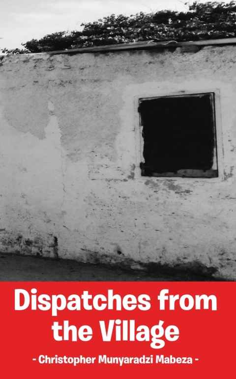 Cover image for book Dispatches from the Village