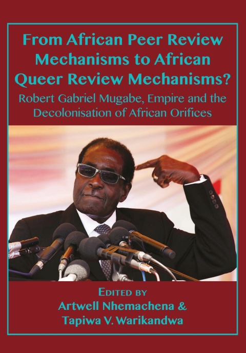 Cover image for book From African Peer Review Mechanisms to A