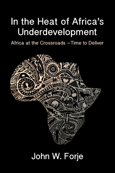 Cover image for book In the Heat of Africa's Underdevelopment