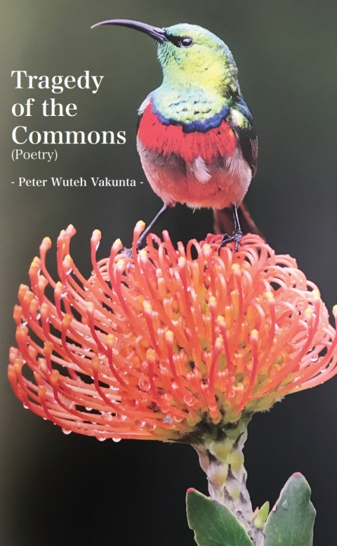 Cover image for book Tragedy of the Commons