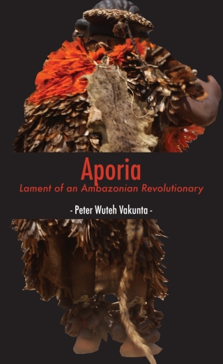 Aporia: Lament of an Ambazonian Revolutionary