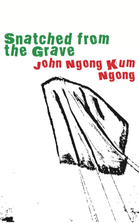Cover image for book Snatched from the Grave