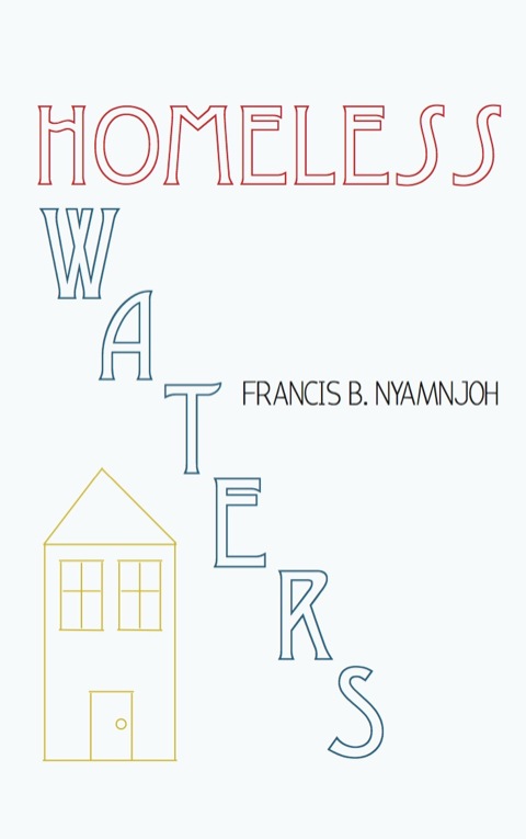 Cover image for book Homeless Waters