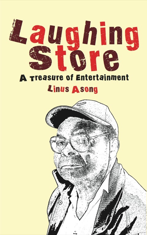 Cover image for book Laughing Store