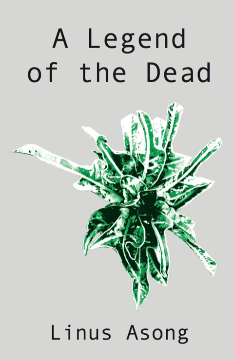 Cover image for book A Legend of the Dead