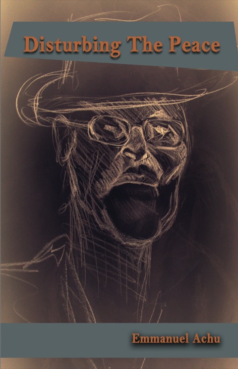 Cover image for book Disturbing the Peace