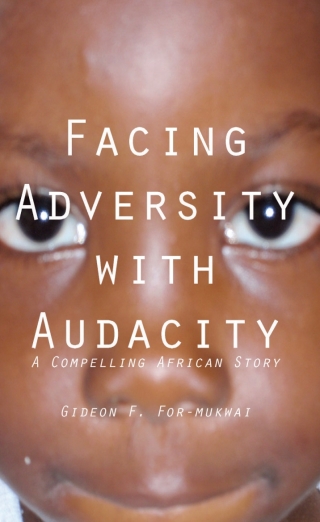 Facing Adversity with Audacity