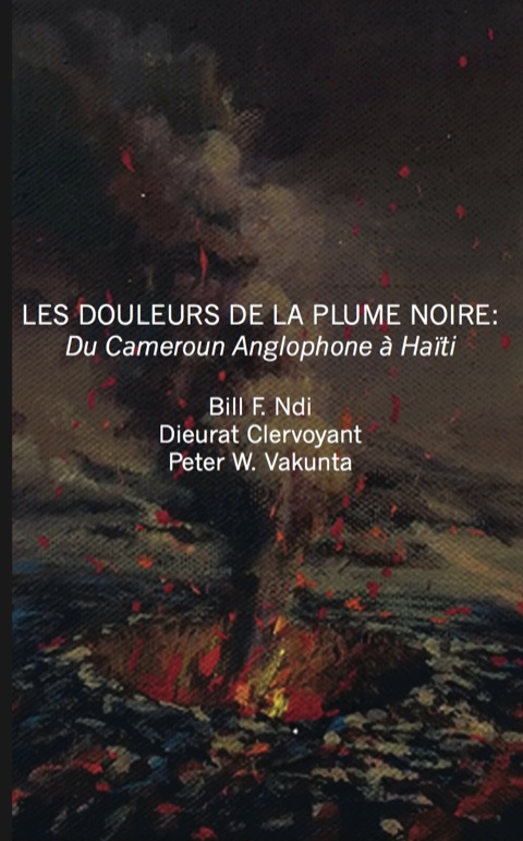 Cover image for book Les douleurs de la plume noire