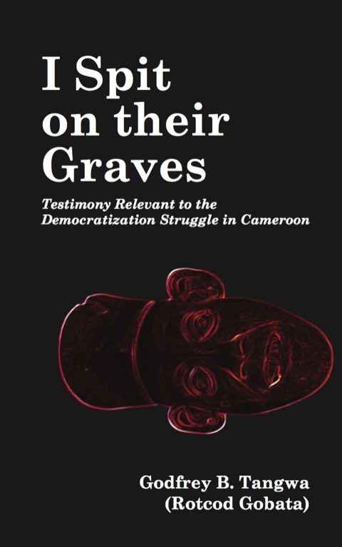 Cover image for book I Spit on their Graves