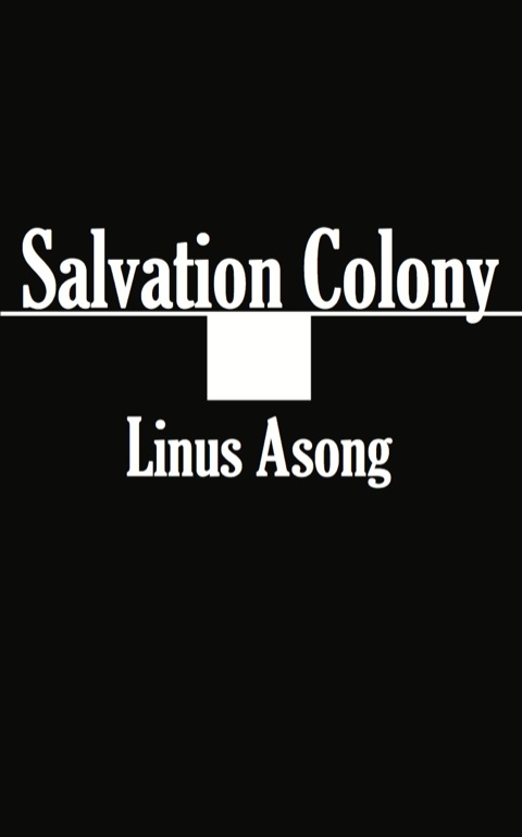 Cover image for book Salvation Colony