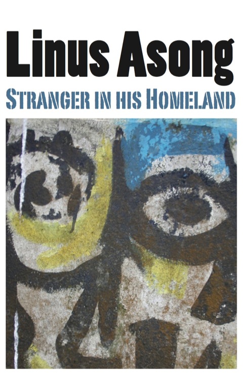 Cover image for book Stranger in his Homeland