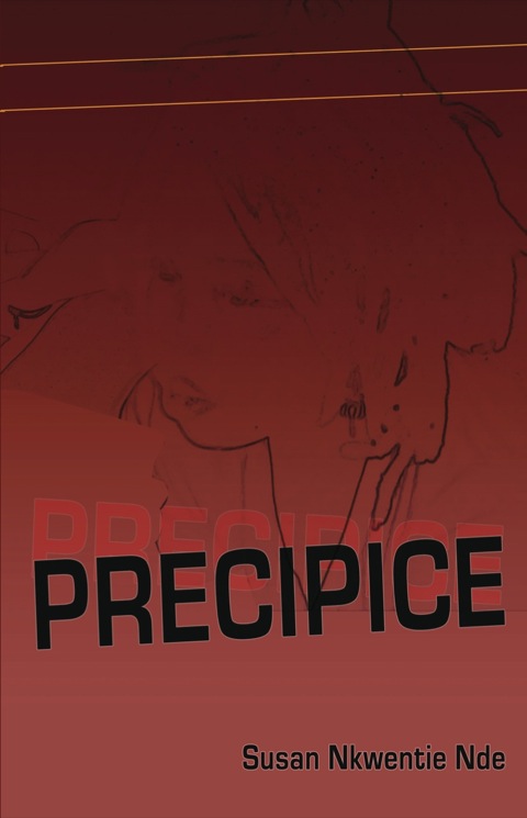 Cover image for book Precipice