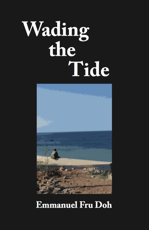 Cover image for book Wading the Tide