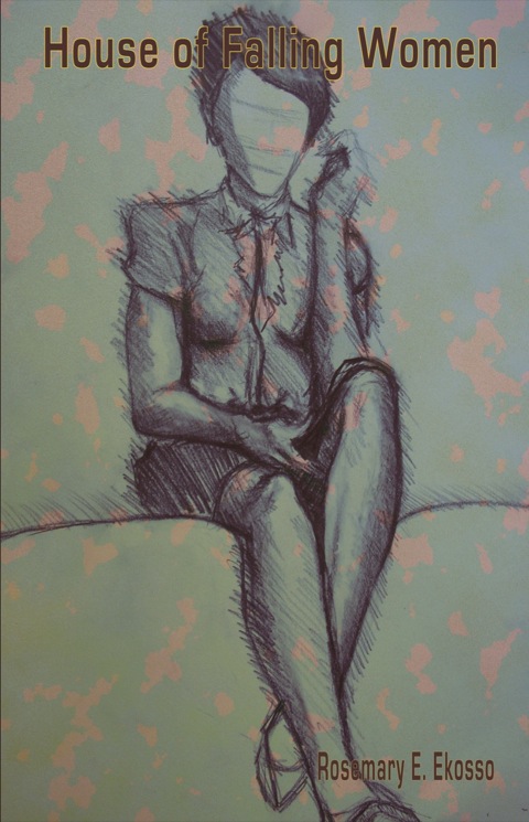 Cover image for book The House of Falling Women