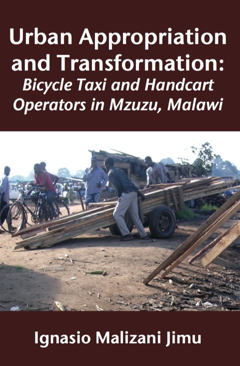 Cover image for book Urban Appropriation and Transformation: