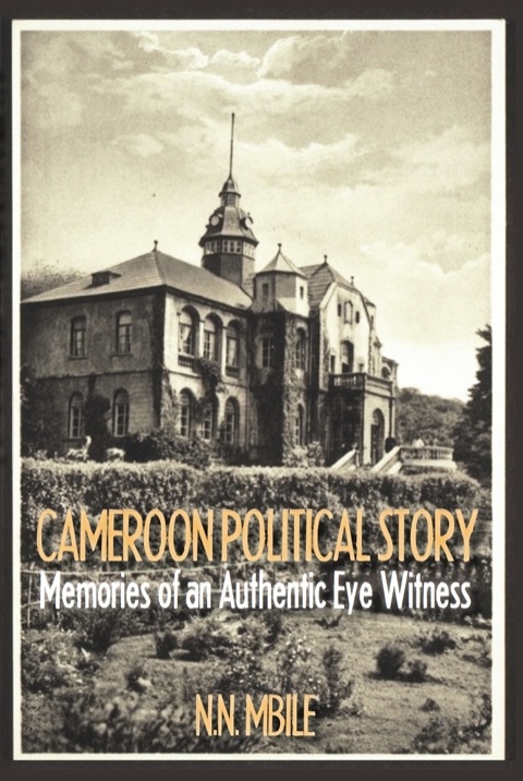 Cover image for book Cameroon Political Story