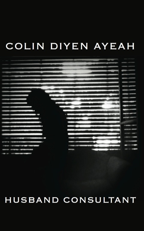 Cover image for book Husband Consultant
