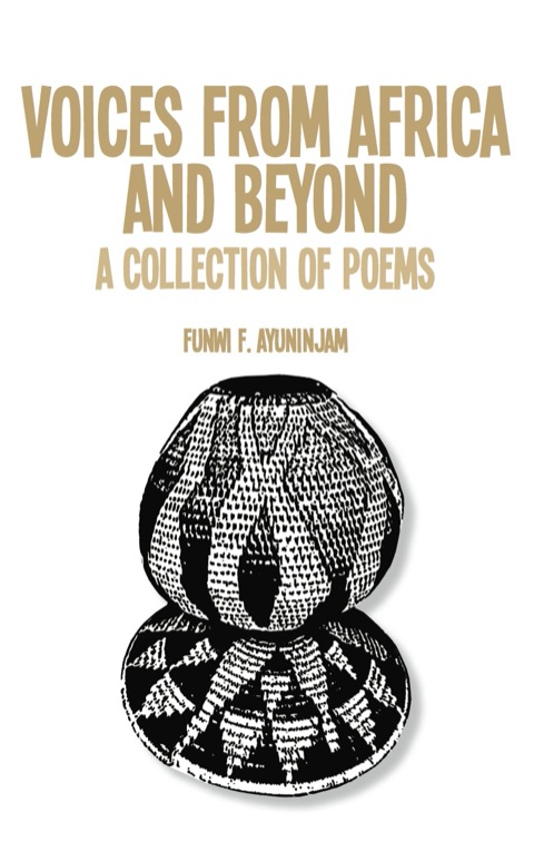 Cover image for book Voices from Africa and Beyond