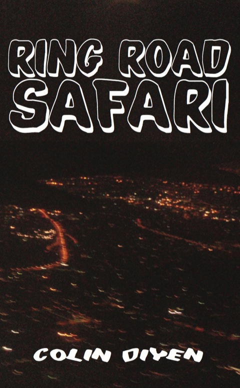 Cover image for book Ring Road Safari