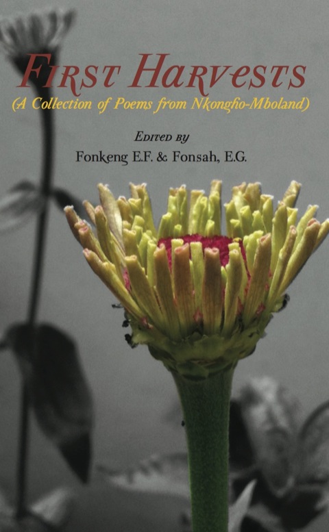 Cover image for book First Harvests