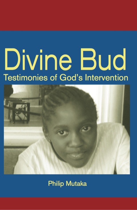 Cover image for book Divine Bud: Testimonies of God’s interve