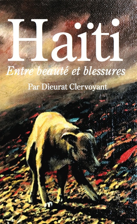 Cover image for book Haiti: Entre beaute et blessures