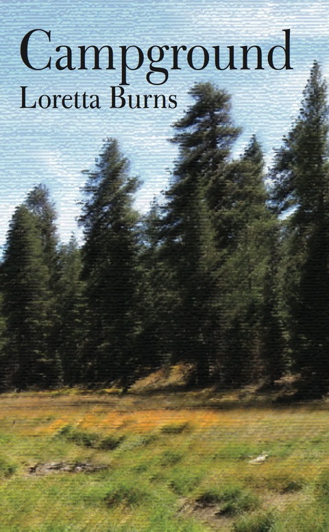 Cover image for book Campground