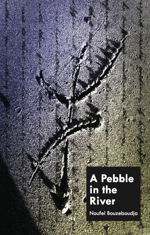 Cover image for book A Pebble In The River