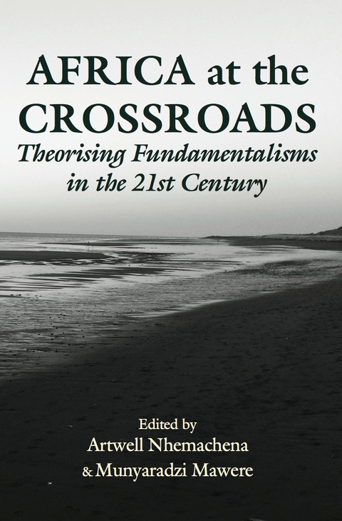 Cover image for book Africa at the Crossroads